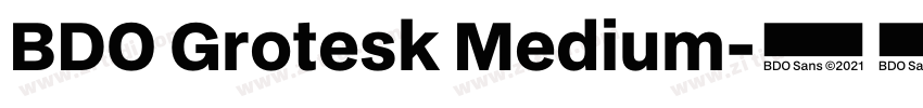 BDO Grotesk Medium字体转换